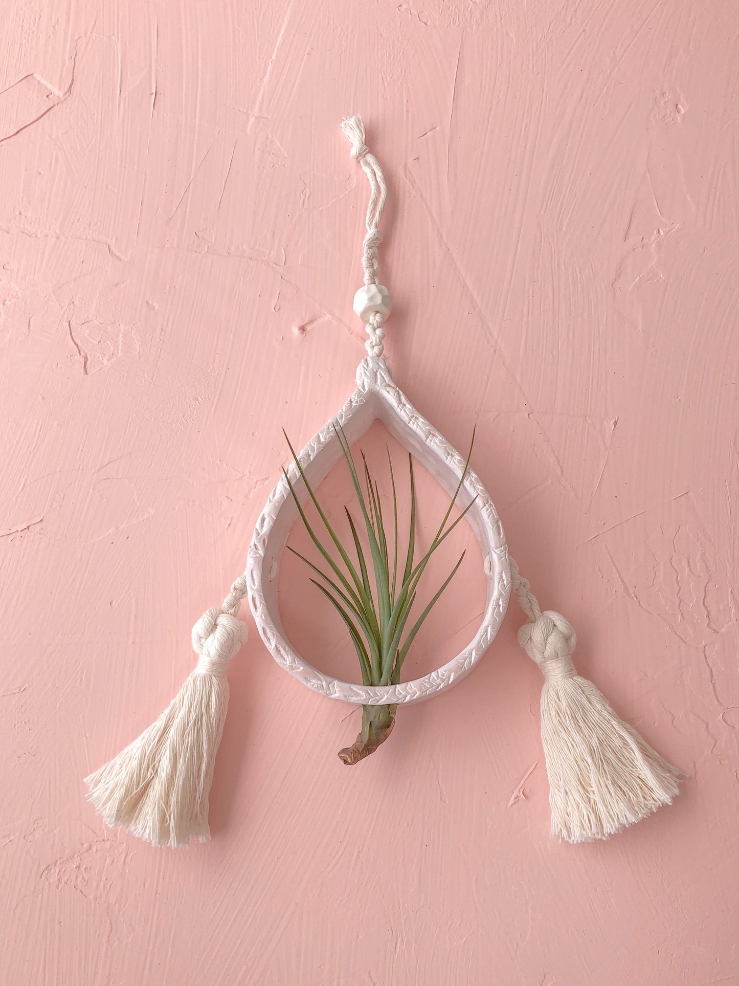 Mini Air Plant Holder- Light Pink