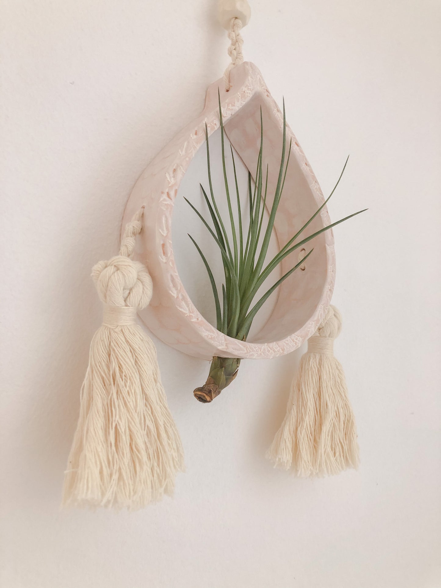 Mini Air Plant Holder- Light Pink