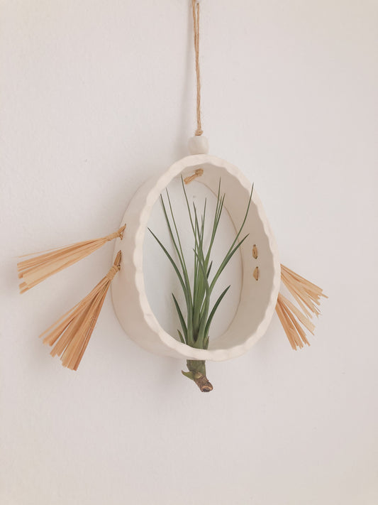 Mini Air Plant Holder- White